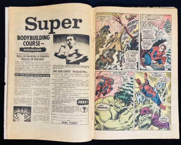 Amazing Spider-Man #119 - Marvel Comics