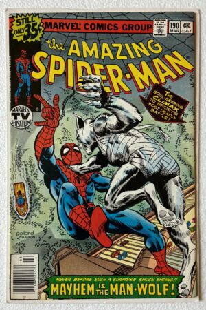 Amazing Spider-Man 193 Marvel 1979 cover nm- condition